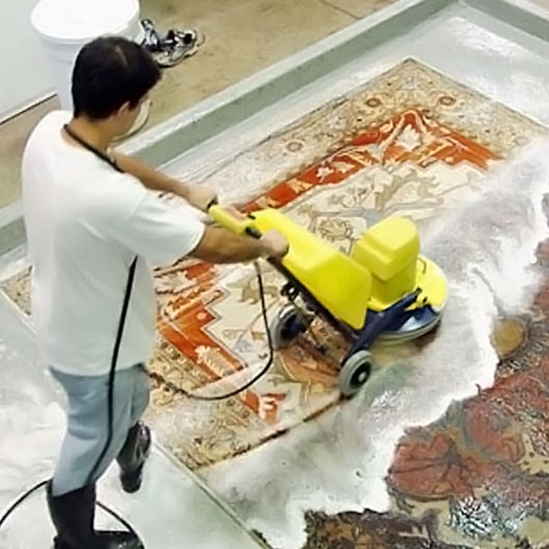 Persona che utilizza una macchina professionale per il Lavaggio Tappeti